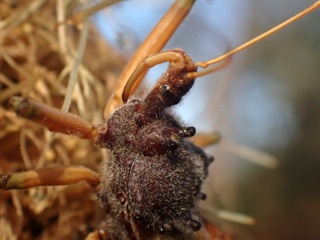 PA260273a.jpg